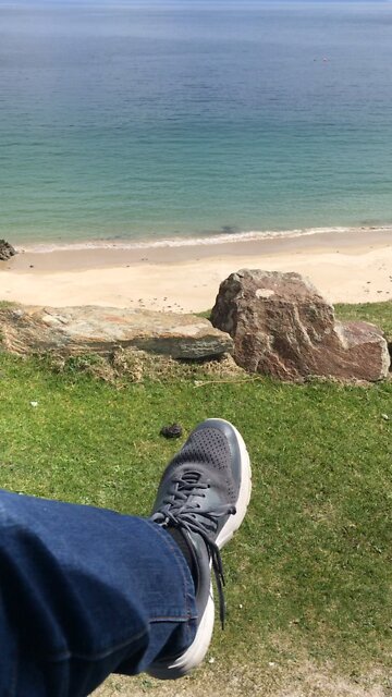 Watching for the basking sharks