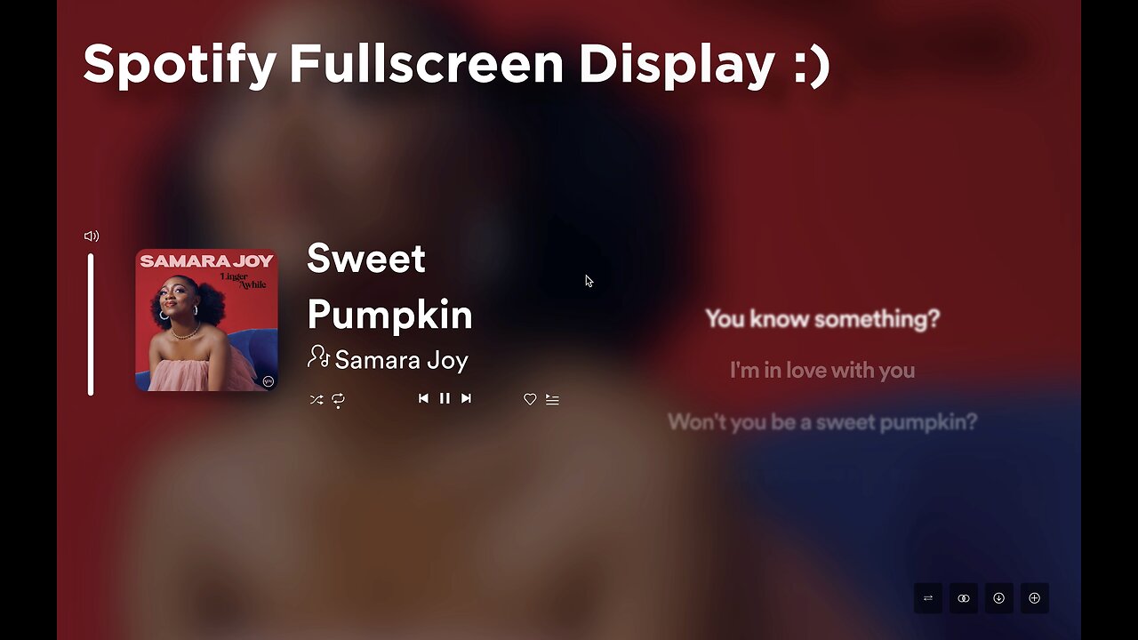 Spotify - Full Screen Display Preview