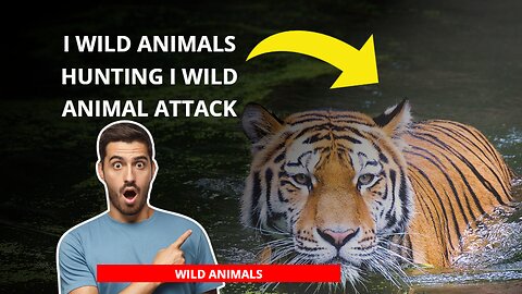 [WILD ANIMALS] video I wild animals hunting I wild animal attack