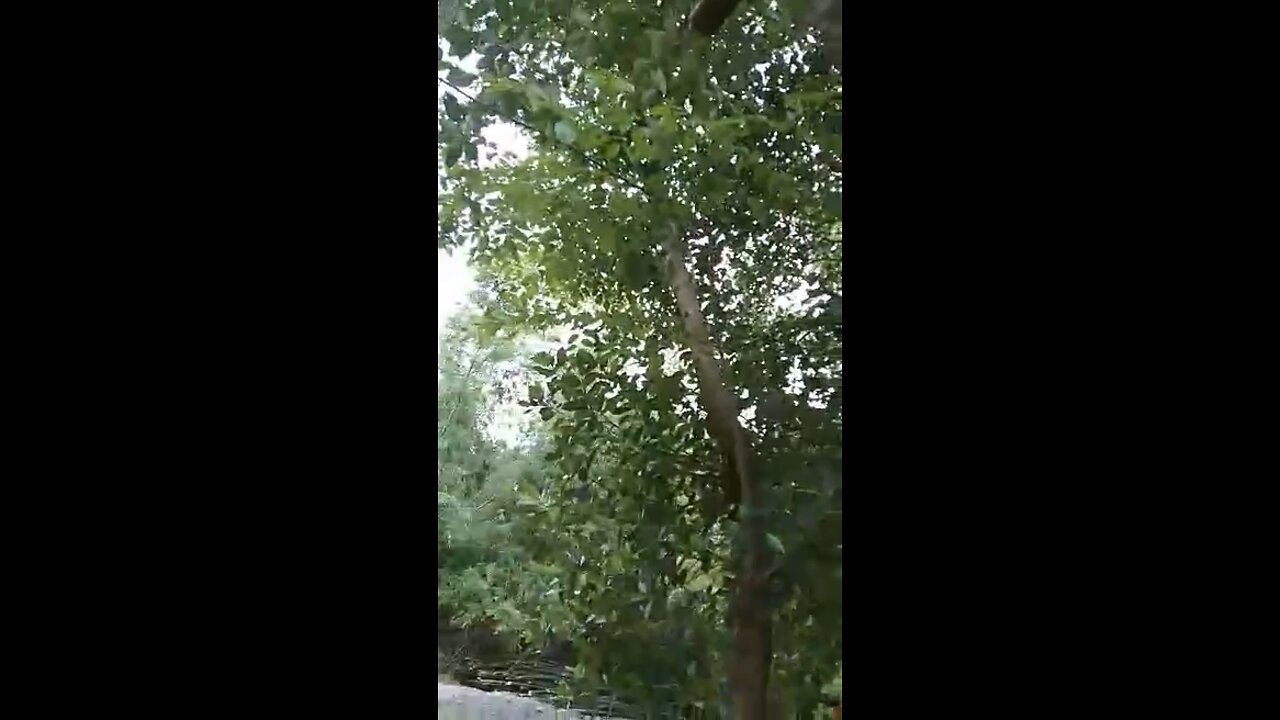 Farm in the Philippines