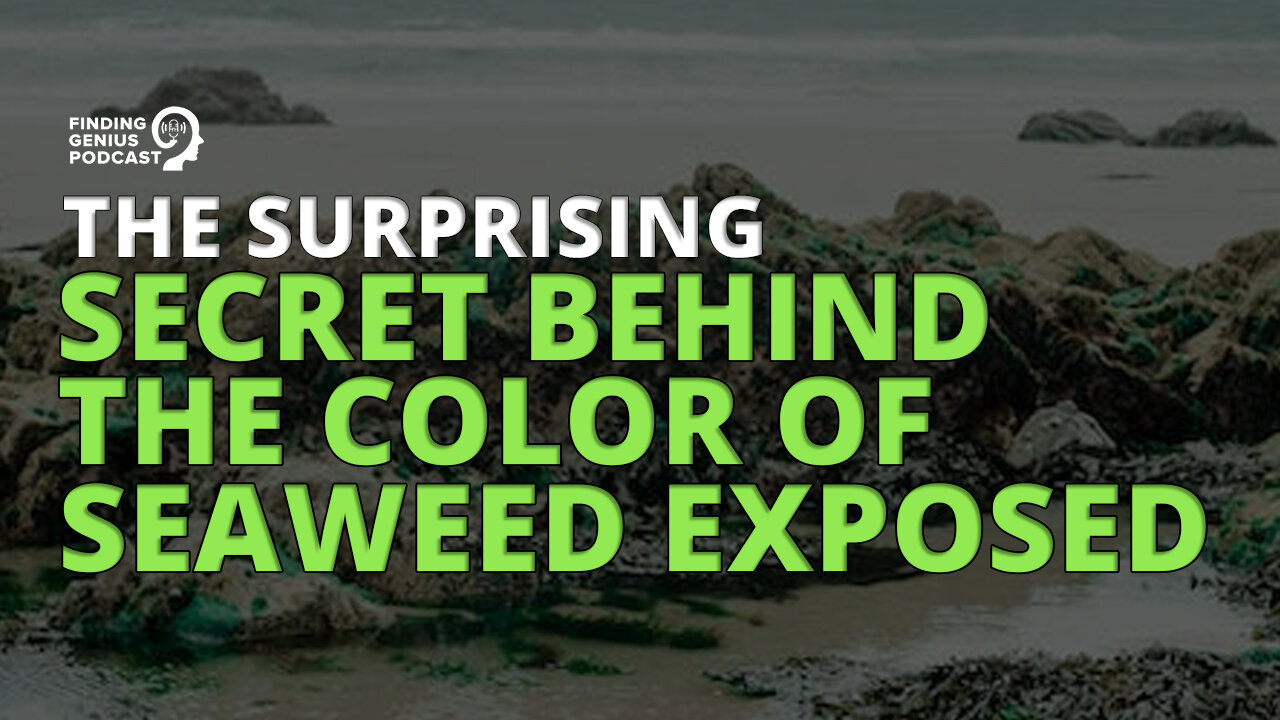 The Surprising Secret Behind the Color of Seaweed Exposed