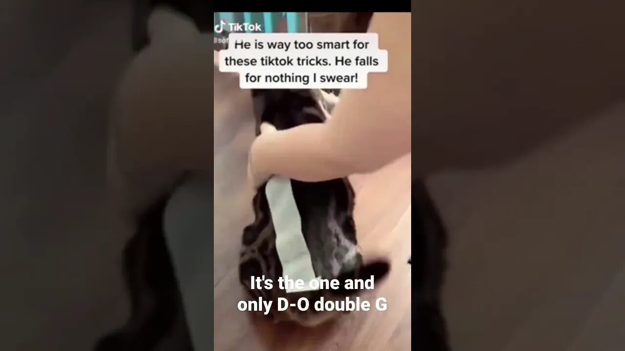 It's the one and only D-O double G #shorts