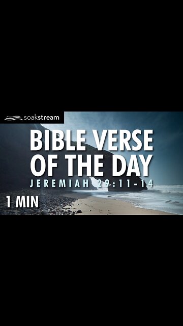 God's Promise To You | Bible Verse of the Day | Jeremiah 29:11-14 | #shorts | YouTube shorts