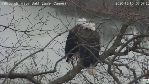 Hays Eagles Mom and Dad together on love seat 2020 12 13 806am