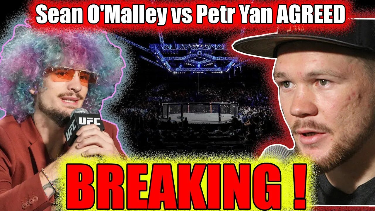 Sean O'Malley vs Petr Yan !!