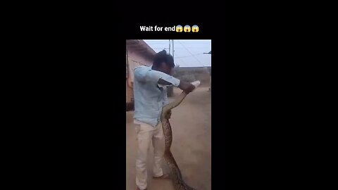 🐍 snake funy video