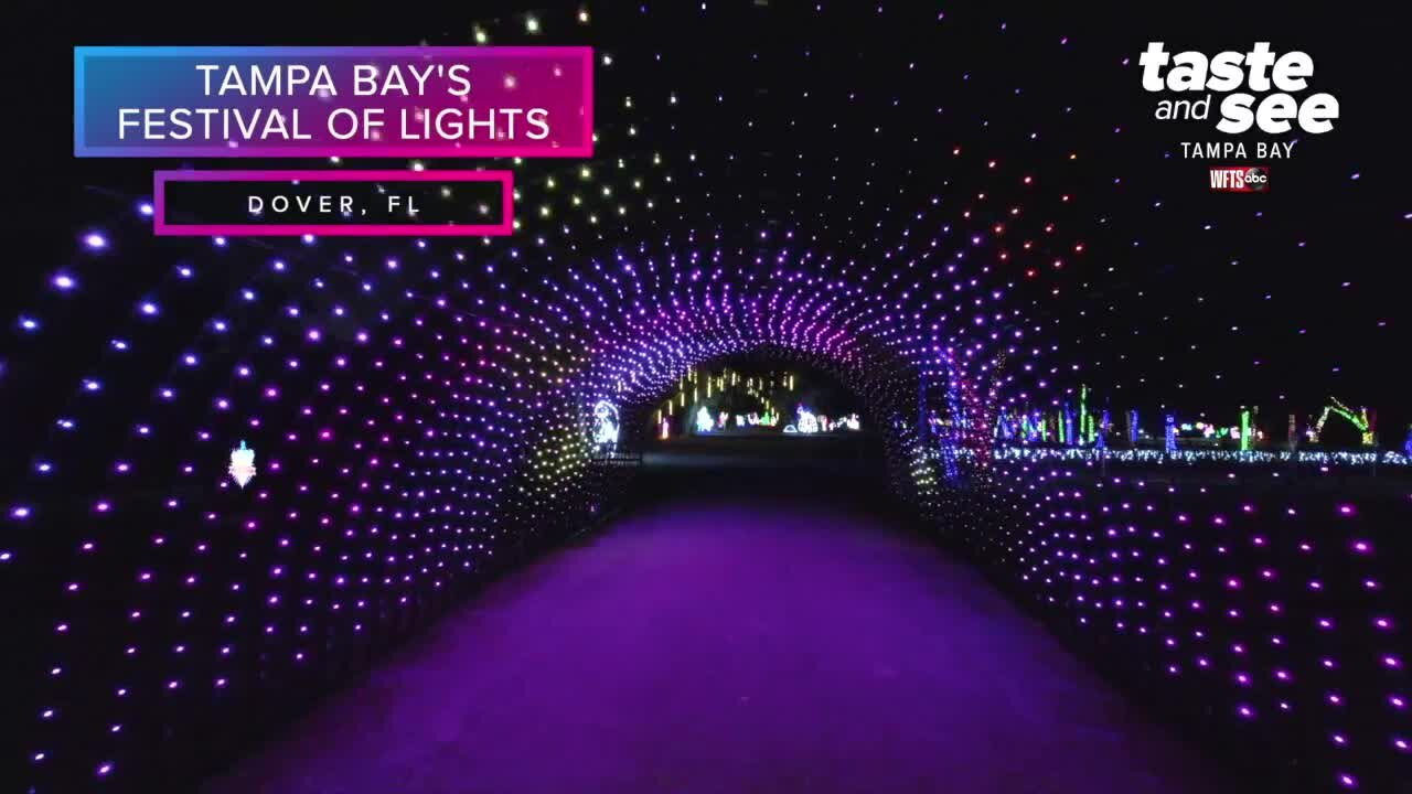 Tampa Bay's Festival of Lights and Santa's Village | Taste and See Tampa Bay