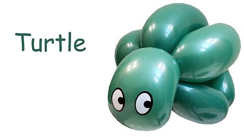 Balloon Turtle