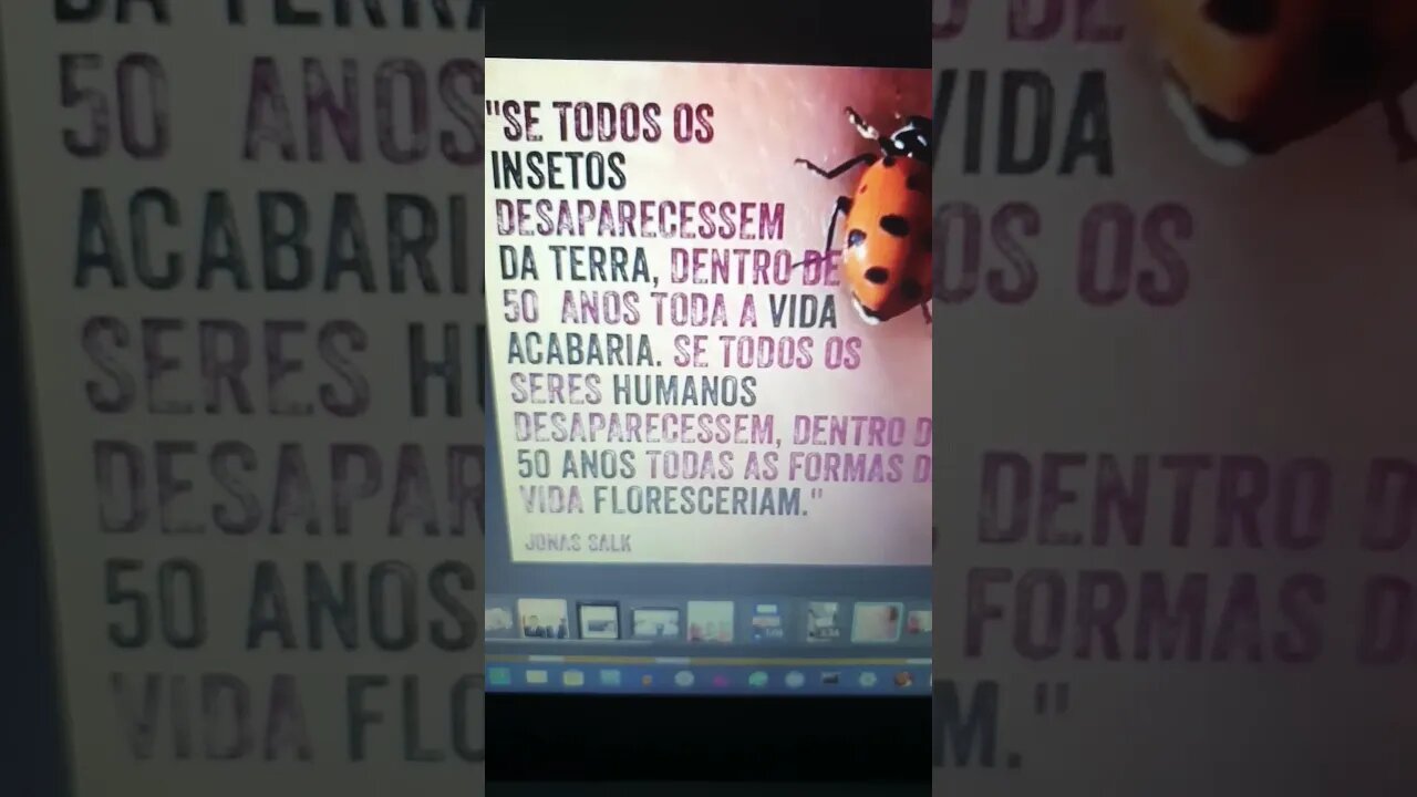 se todos os insetos desaparecerem, dentro de 50 anos toda a vida acabaria... Jonas Salk...