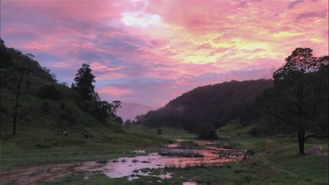 Good morning from flooded paradise. The rain has subsided this morning and the flood waters receded