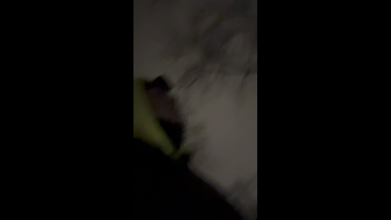The ass again