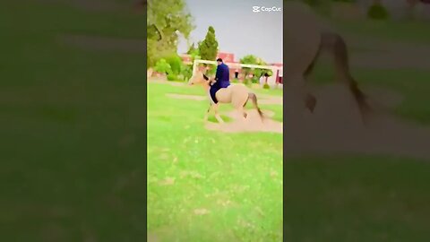 horse riding....#shortsviral #vlogger #youtubeshorts #gaming