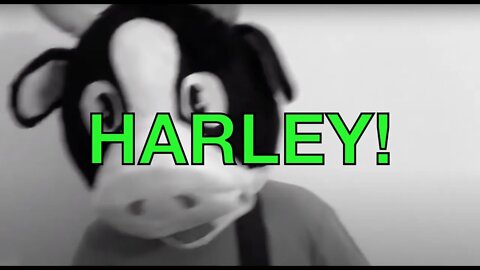 Happy Birthday HARLEY! - COW Happy Birthday Song