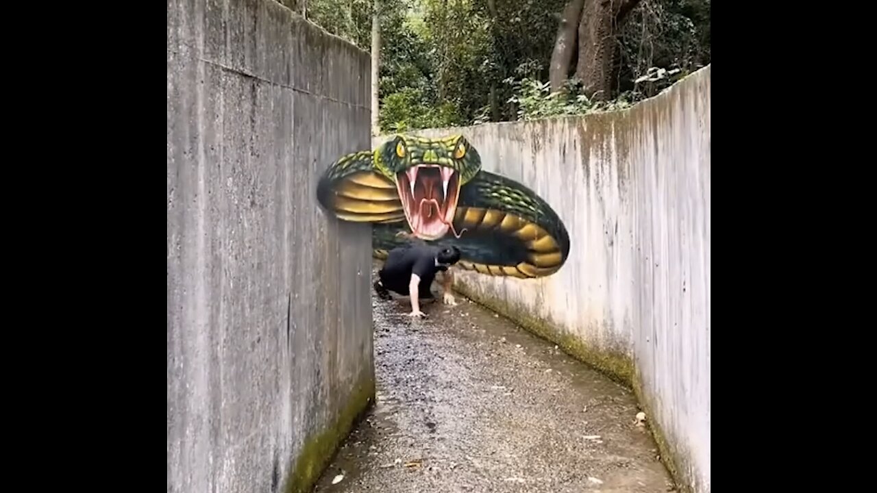 Street art that will blow your mind!ðŸ§