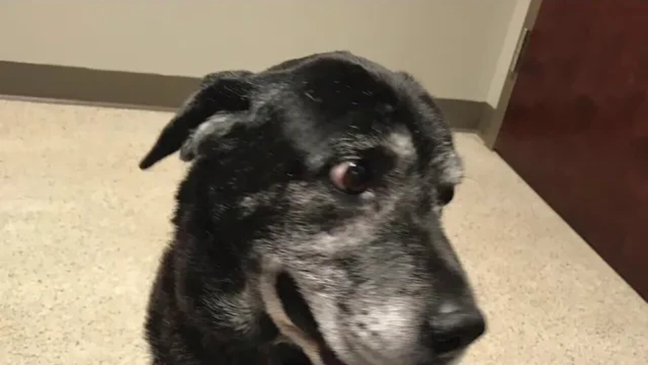 Eddie