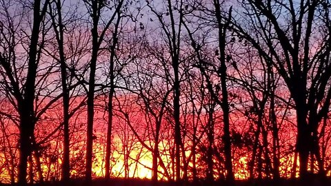 The Most Beautiful Sunrise ever. Viewed from my lower porch.