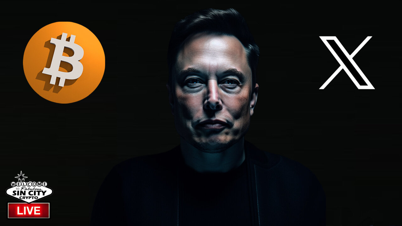 Elon Musk Diamond Handing Bitcoin