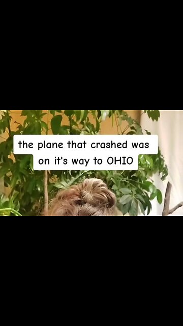 🙄🤔NOTHING SUSPICIOUS HERE - PLANE CRASHES WITH EPA INVESTIGATERS HEADING TO OHIO