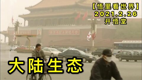 KWT1182大陆生态20210226-6【悟里看世界】