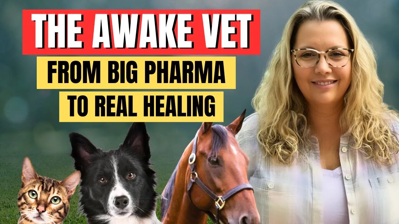 Our Animals Deserve Better! | The Awake Vet Dr. Kimberly Parker