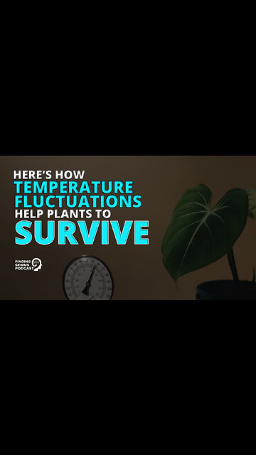 Here’s How Temperature Fluctuations Help Plants to Survive