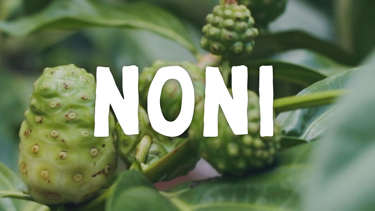 How to Grow ~ Noni Fruit