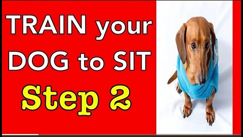 How to train your dog