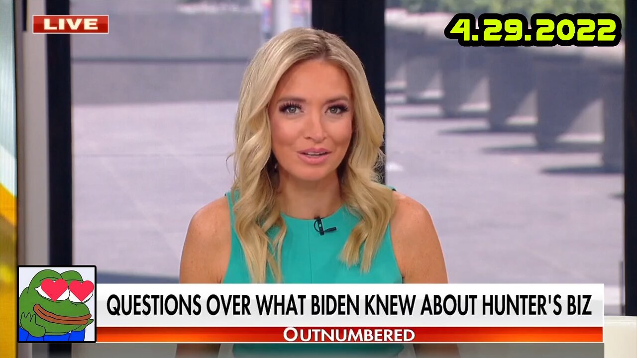 McEnany: Remarkable lack of curiosity from the media on Hunter Biden