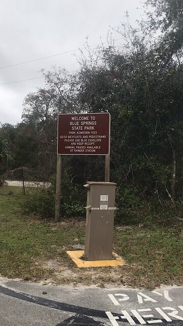 Blue Springs Manatees Time