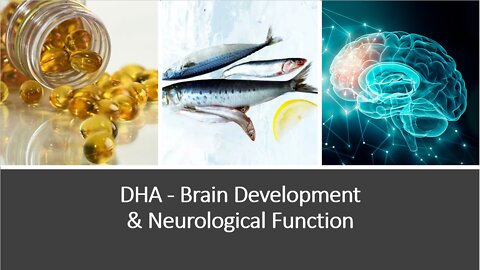 DHA - Brain Development & Neurological Protection