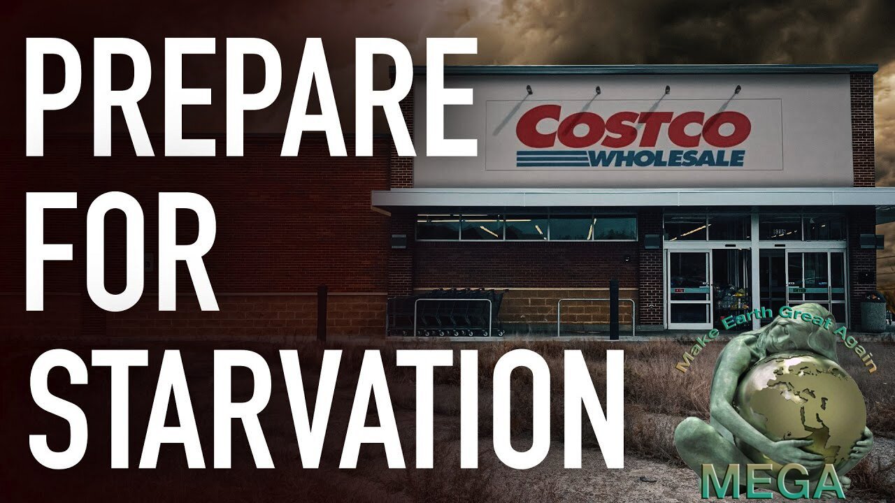 [With Subtitles] Costco Is In Deep, Deep Trouble As CEO Warns About Major Challenges