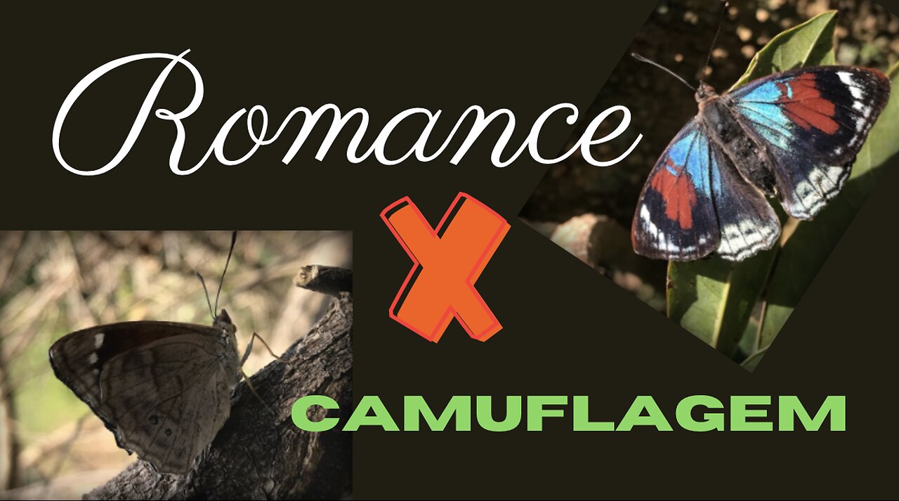 Romance X camuflagem