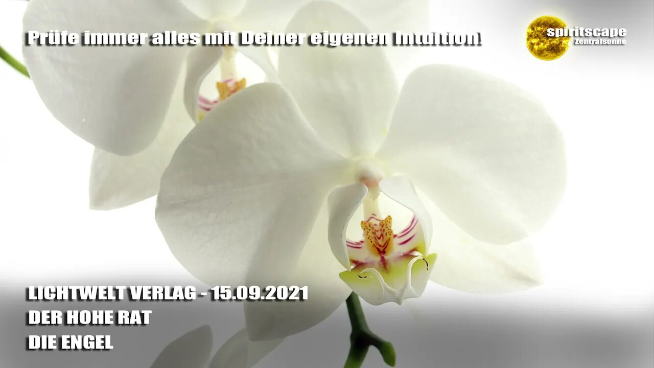 DER HOHE RAT – DIE ENGEL - LWV