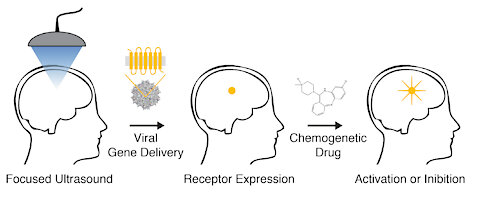 Darpa, Nano, Mind Control, Dreadds, Chemogenetics, Hive Mind