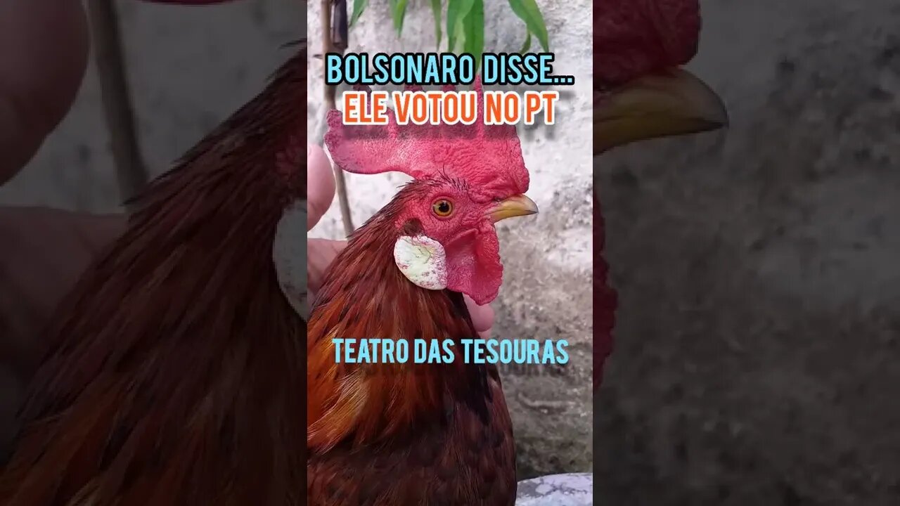 Bolsonaro disse... E eu ví e ouví! Tá no YouTube