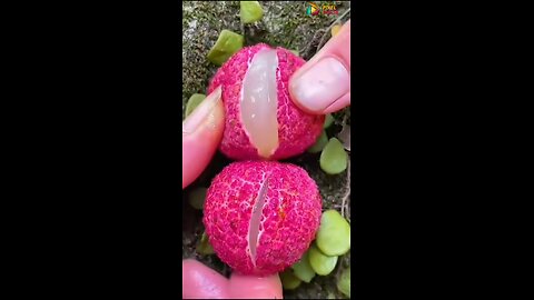 Fresh fruits cutting|| Natural vlog