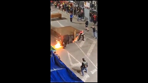 Setting Bulls Horns On Fire Doesn’t Go Well