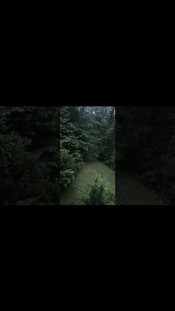 Appalachia rainstorm Rollin thunder