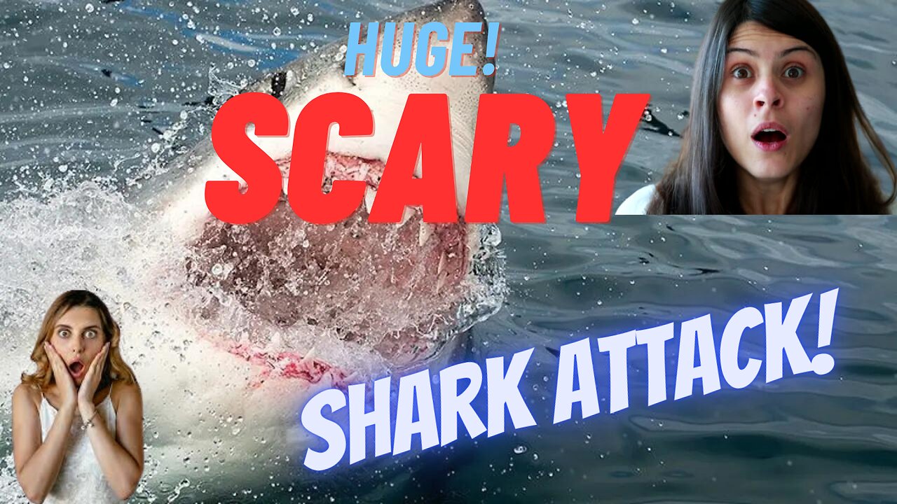 Shark Attack