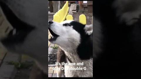 It's the one and only D-O double G #shorts