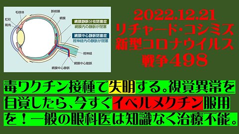 2022.12.21 リチャード・コシミズ 新型コロナウイルス 戦争４９8