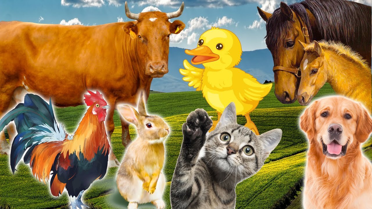 Learn Family Animals_ Cat, Horse, Cow, Chicken, Duck - Farm Animal Sounds - Part 2