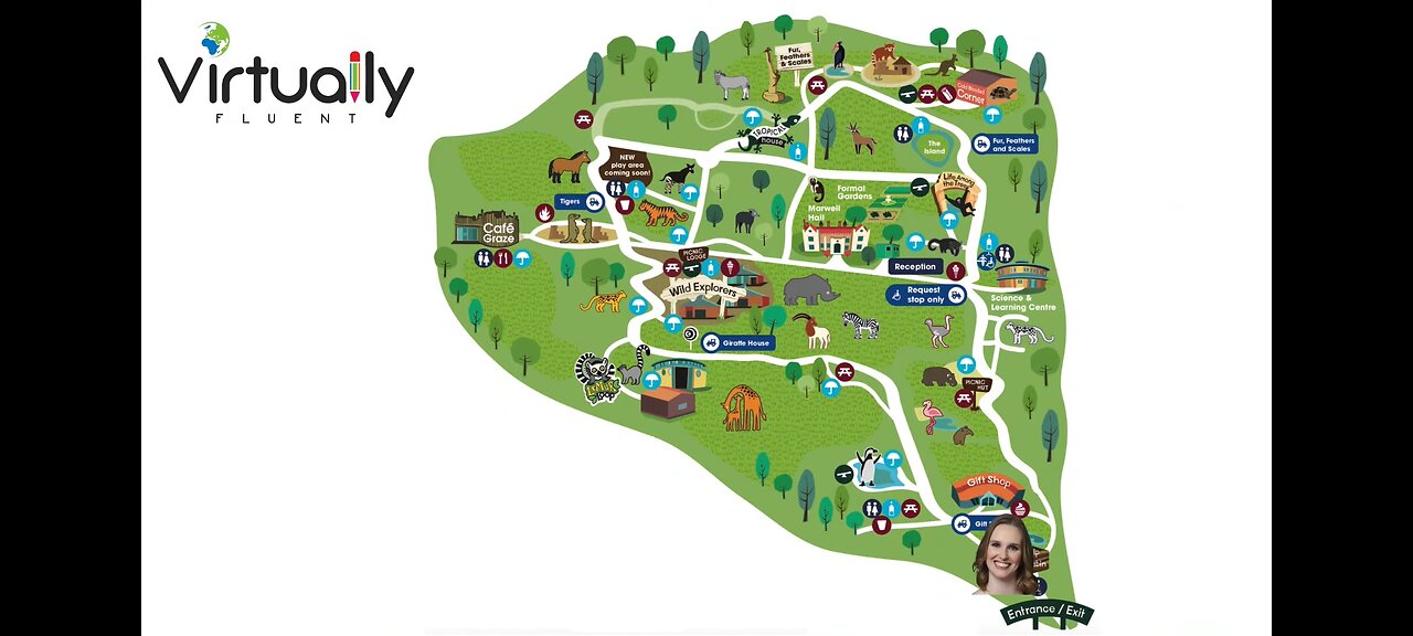 Zoo Animal | Beginner English At the zoo
