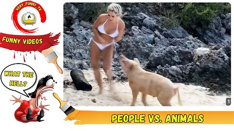 People vs Animals 🤣 Funny Videos