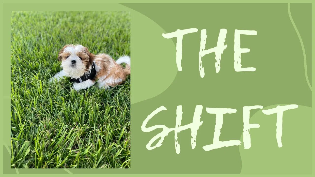The Shift