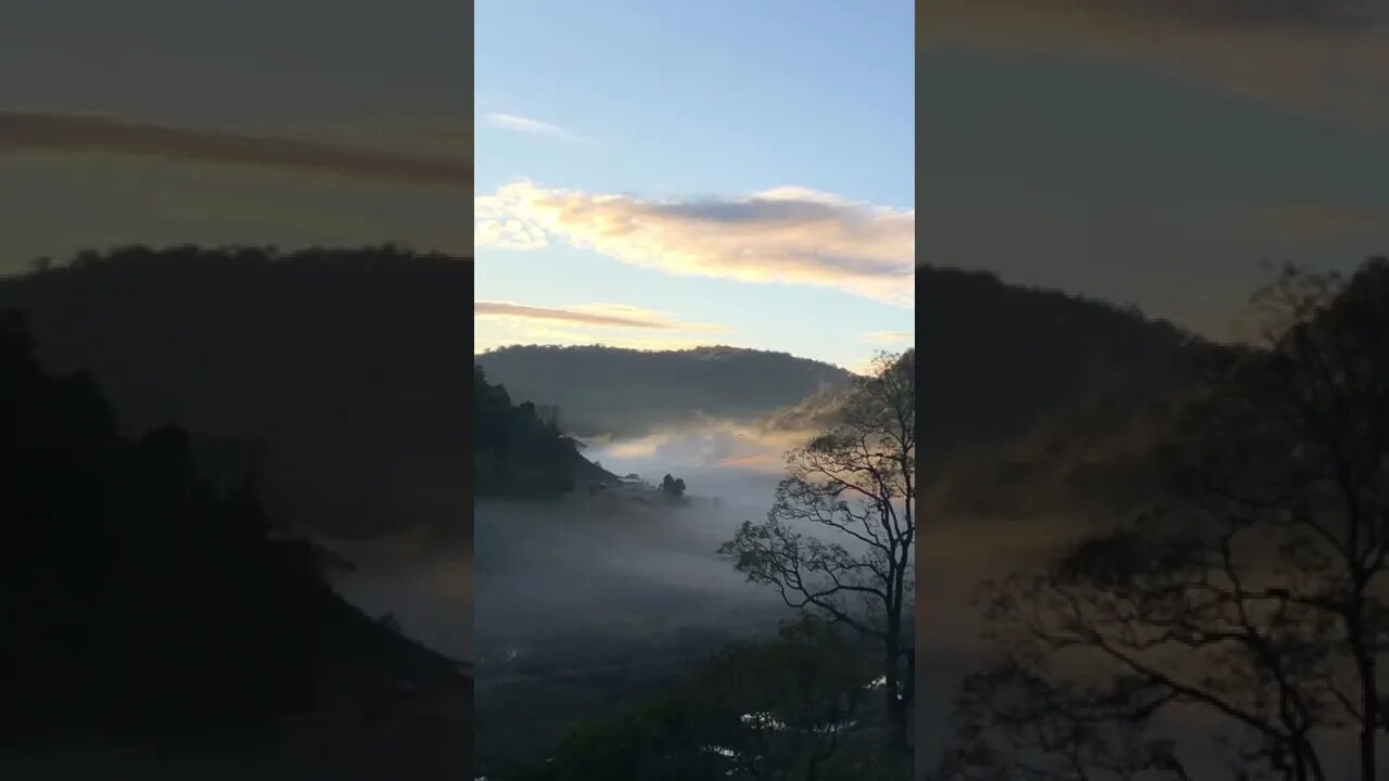 Stunning morning mist part I