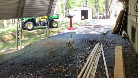 Started taking down the second carport