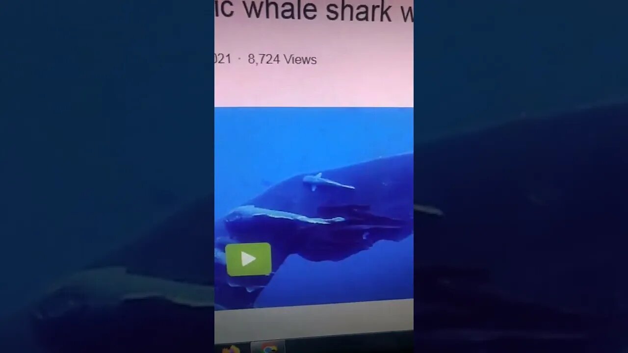 vídeos shorts do kawai #shorts