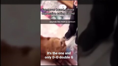 MEME is the one and only D-O double G #shorts