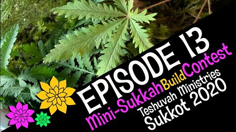 Sukkot 2020 Episode 13 - Mini Sukkah Building Contest ( Teshuvah Ministries, Feast of Tabernacles )